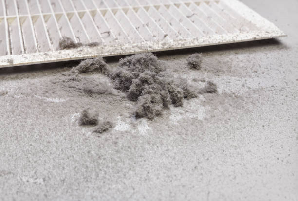 Best Air Duct Cleaning Near Me  in Chestertown, MD