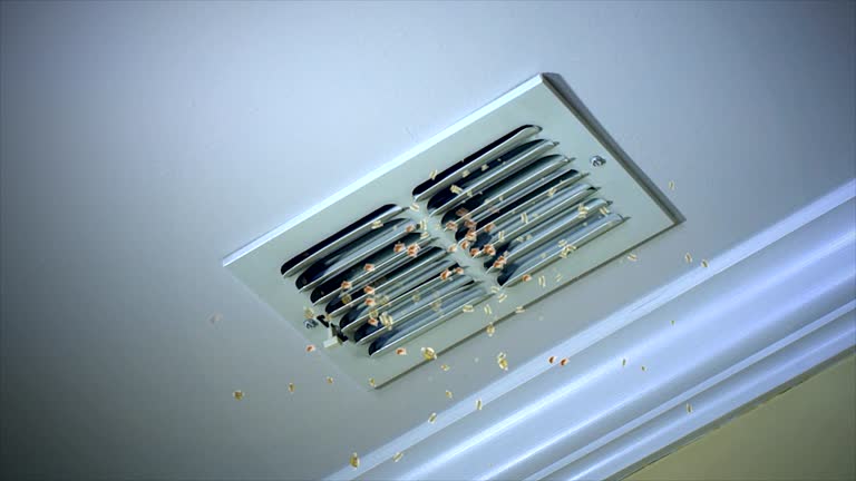 Best Commercial Air Duct Cleaning  in Chestertown, MD