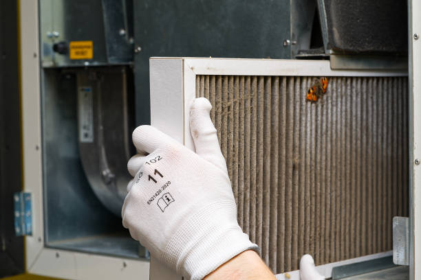 Best Professional Duct Cleaning Services  in Chestertown, MD