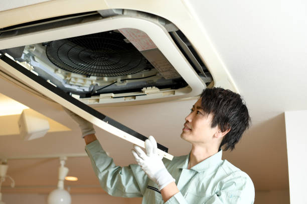 Best Air Vent Cleaning Services  in Chestertown, MD