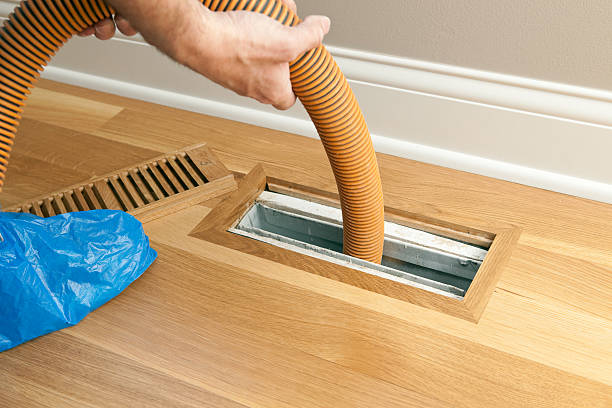 Best Local Air Duct Cleaning Services  in Chestertown, MD