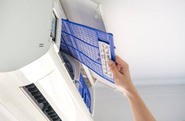Best Affordable Air Duct Cleaning  in Chestertown, MD