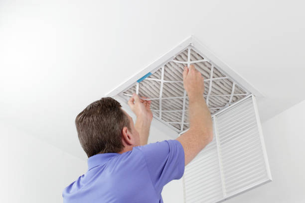 Best Professional Duct Cleaning Services  in Chestertown, MD